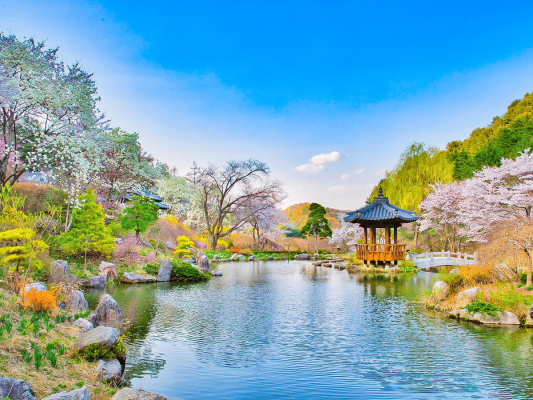 BUSAN - GYEONGJU - SEOUL - NAMI - EVERLAND 5N5D
