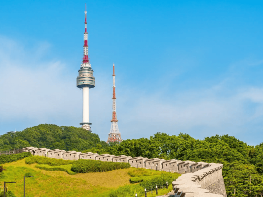SEOUL - NAMI - EVERLAND - 4N4D