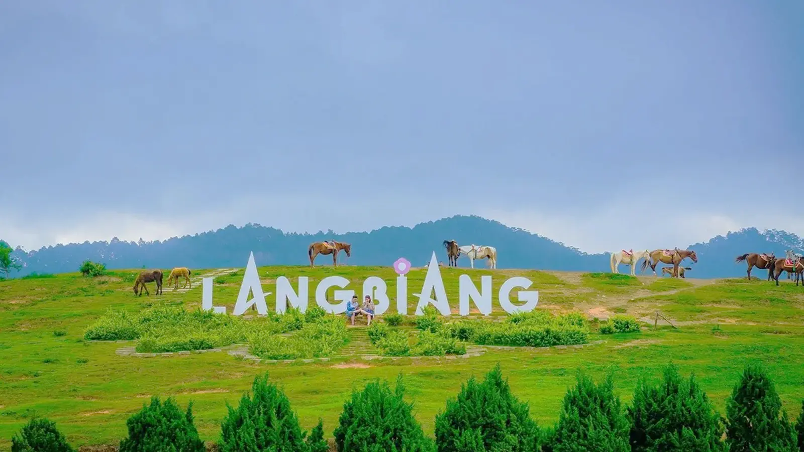 HỒ CHÍ MINH - ĐÀ LẠT 3N2D