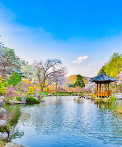BUSAN - GYEONGJU - SEOUL - NAMI - EVERLAND 5N5D